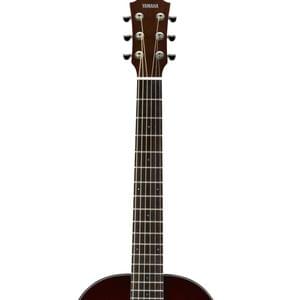 1558166561608-68.CSF1M TOBACCO BROWN SUNBURST.4.jpg
